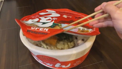 うどんハウスとメルくん