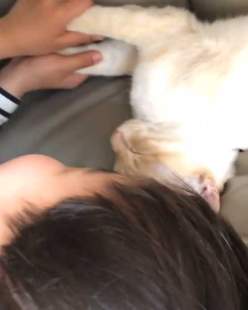 猫 張り紙 おやすみ 寝ている 片付けないで おいも 息子 手描き メモ