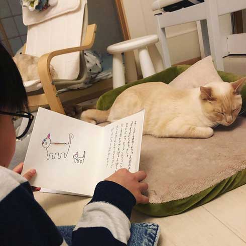 猫 張り紙 おやすみ 寝ている 片付けないで おいも 息子 手描き メモ