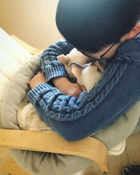 猫 張り紙 おやすみ 寝ている 片付けないで おいも 息子 手描き メモ