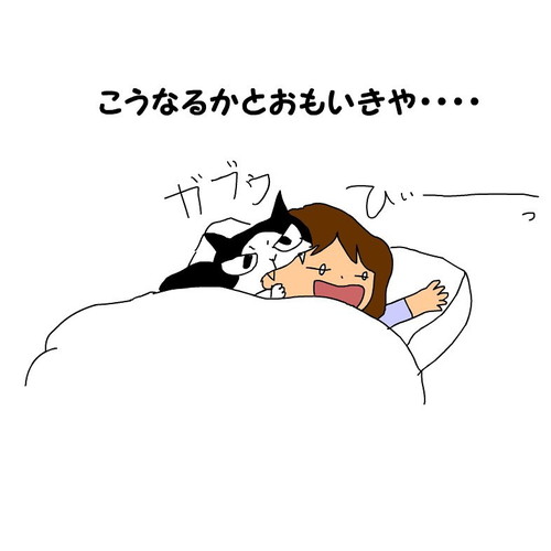 はなたまさんを起こすもんちゃん