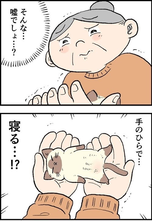 おふくちゃん
