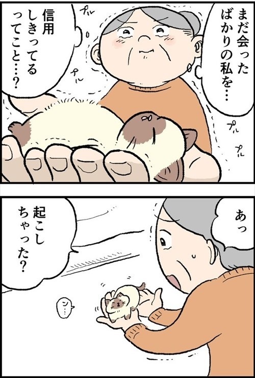 おふくちゃん
