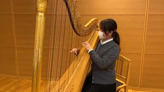 ファイナルファンタジー FF 知らない 友達 耳コピ 演奏 再現 ハープ