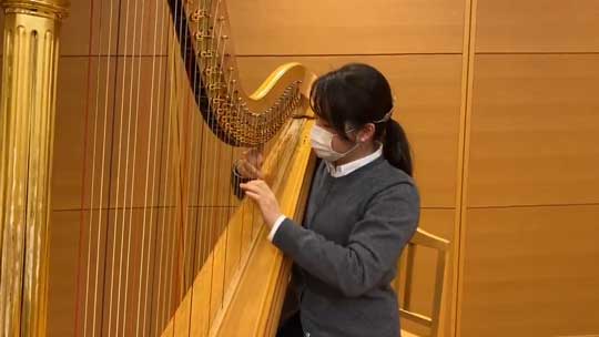 ファイナルファンタジー FF 知らない 友達 耳コピ 演奏 再現 ハープ