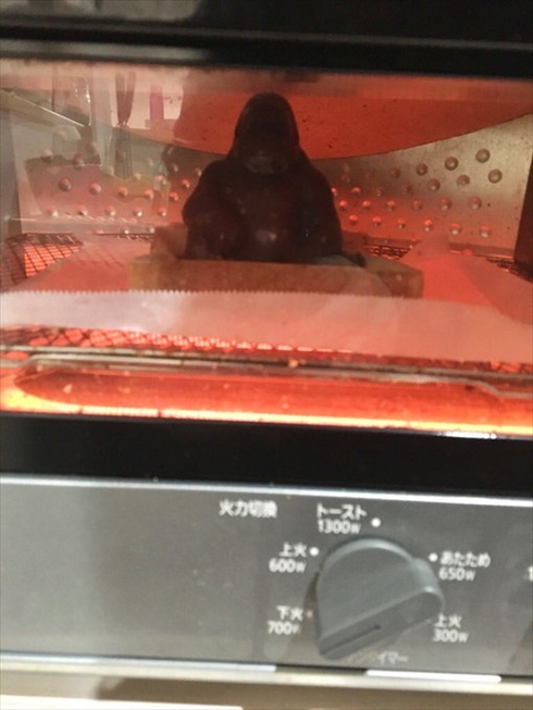 ゴリラ チョコレート