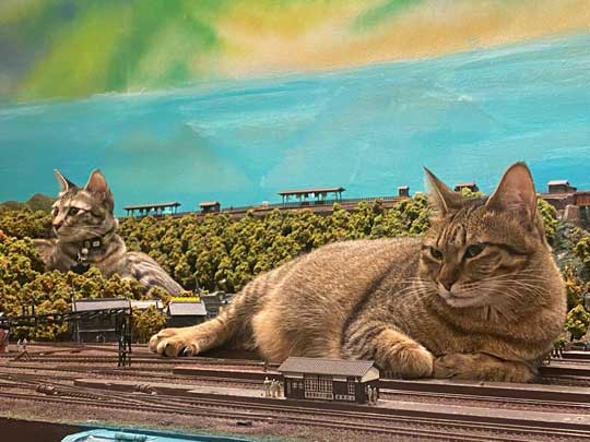 猫 お母さん 寝ている 列車 運休 ジオラマ 食堂 巨大 保護猫