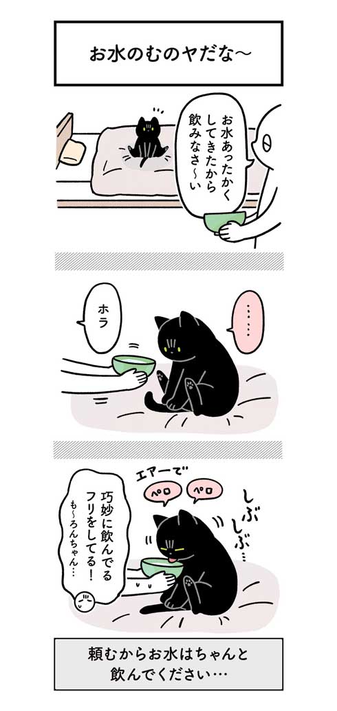 水 飲んでほしい 飼い主 不条理 猫 黒猫ろんと暮らしたら 漫画 AKR