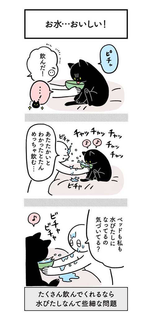 水 飲んでほしい 飼い主 不条理 猫 黒猫ろんと暮らしたら 漫画 AKR