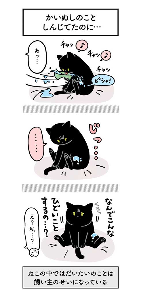 水 飲んでほしい 飼い主 不条理 猫 黒猫ろんと暮らしたら 漫画 AKR