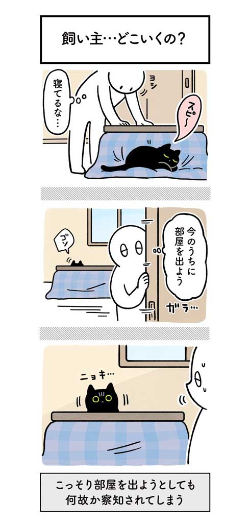 水 飲んでほしい 飼い主 不条理 猫 黒猫ろんと暮らしたら 漫画 AKR