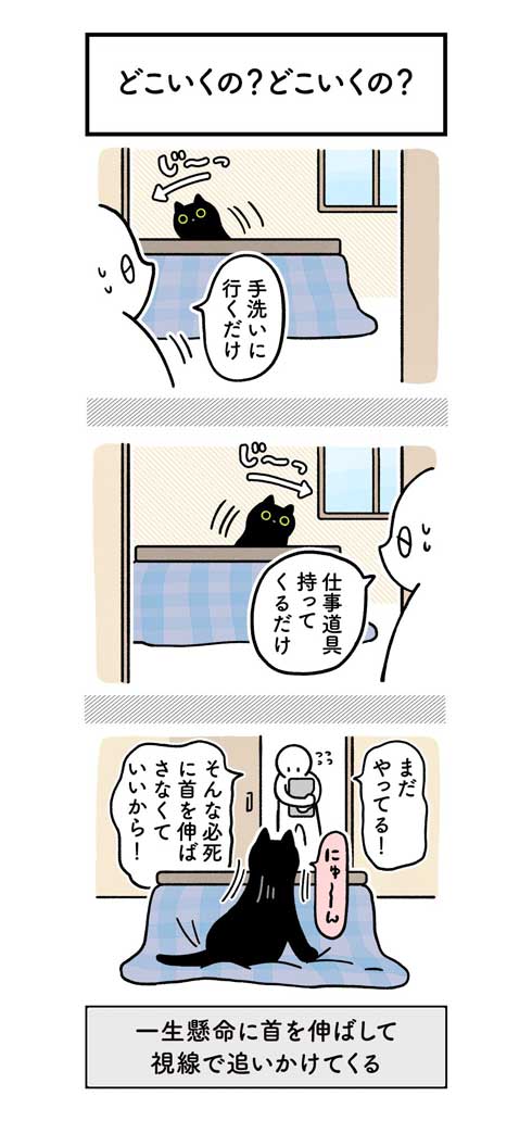 水 飲んでほしい 飼い主 不条理 猫 黒猫ろんと暮らしたら 漫画 AKR