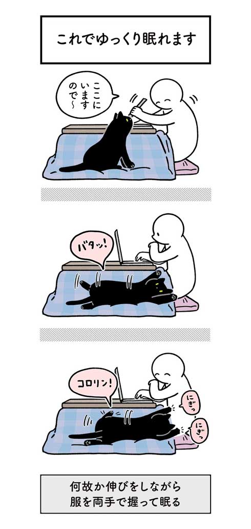 水 飲んでほしい 飼い主 不条理 猫 黒猫ろんと暮らしたら 漫画 AKR