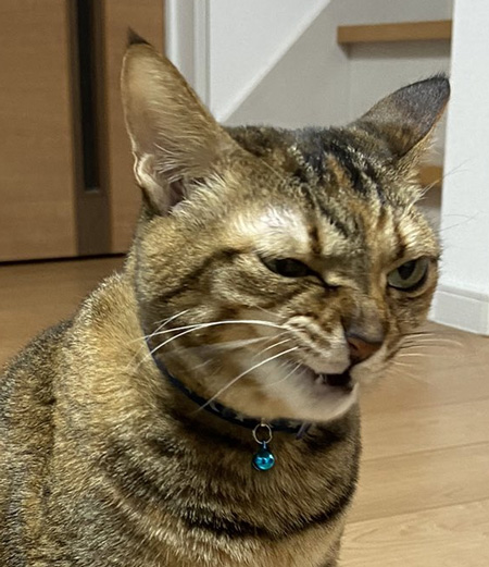 悪い顔佳乃さんアップ