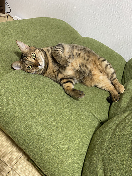 寝転がる佳乃さん