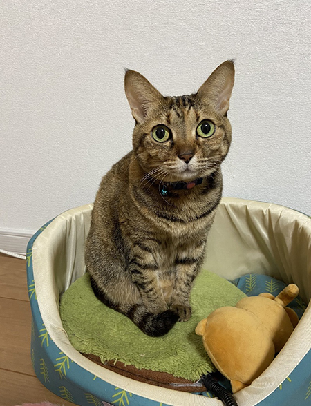 何その顔追加写真