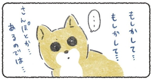期待しちゃうこつぶくん