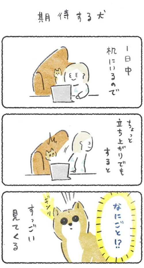 期待しちゃうこつぶくん