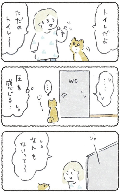 期待しちゃうこつぶくん