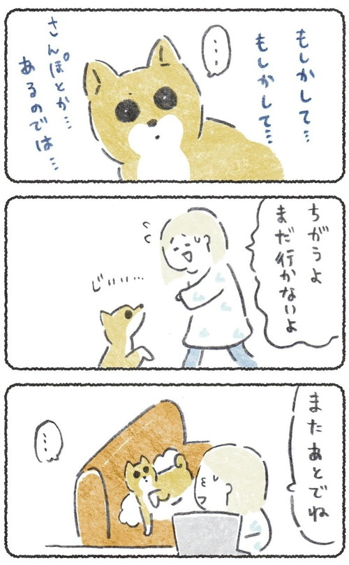 期待しちゃうこつぶくん