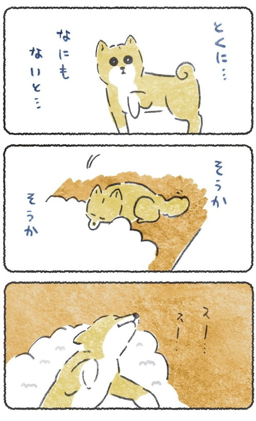 期待しちゃうこつぶくん