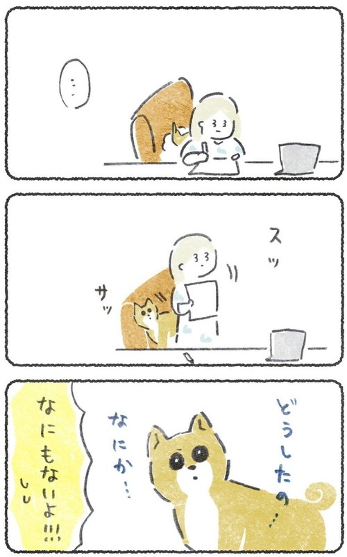 期待しちゃうこつぶくん
