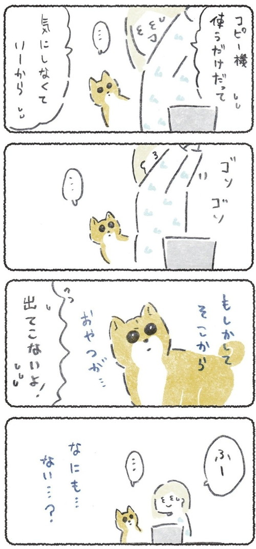 期待しちゃうこつぶくん