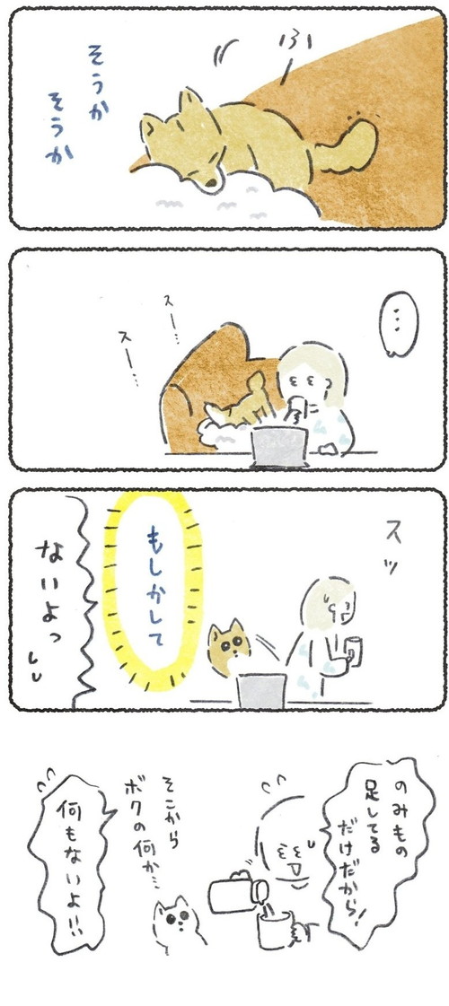 期待しちゃうこつぶくん