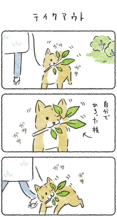 「テイクアウト」