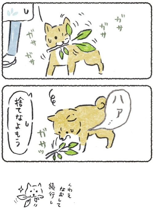 「テイクアウト」