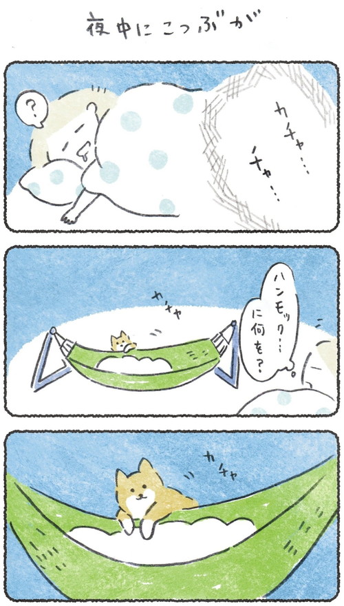 「夜中にこつぶが」