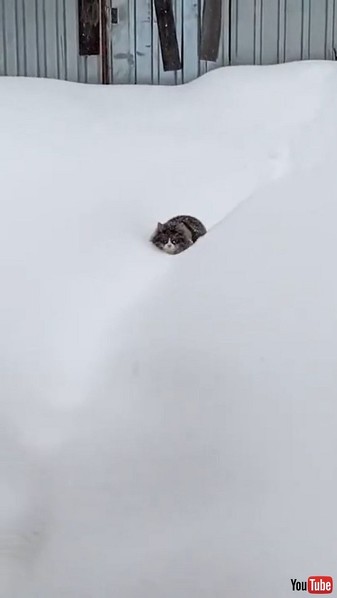 Walk Through Thick Snow