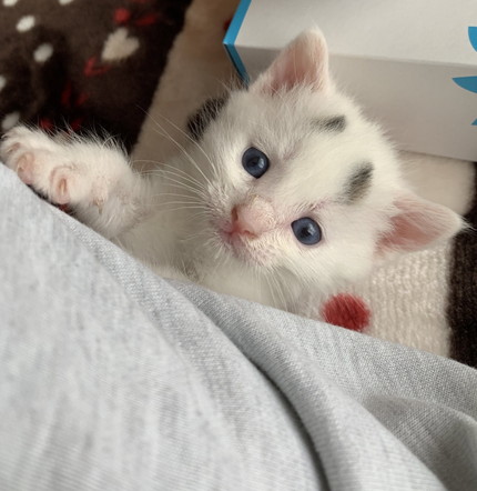 小さいころのまろちゃん