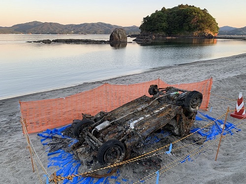 豆柴太　南三陸