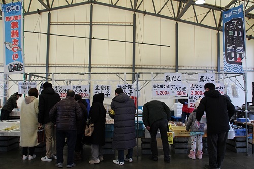 豆柴太　南三陸