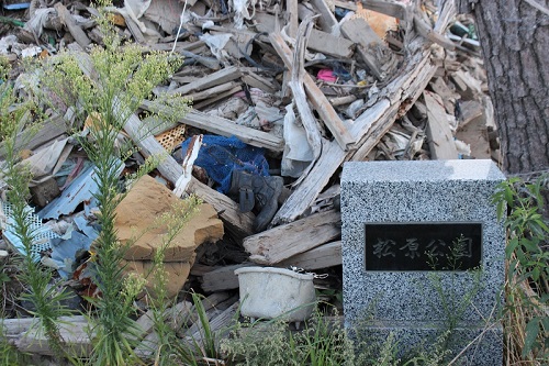 豆柴太　南三陸