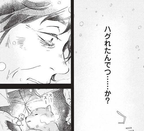 豆柴太　南三陸