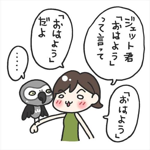ヨウム