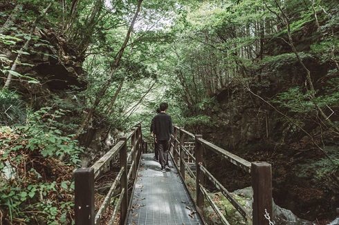 朝の散歩も楽しそう