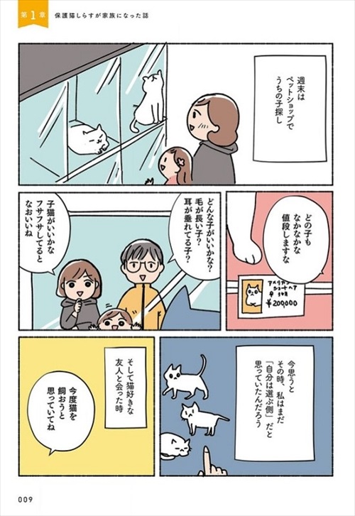 ねこ活はじめました