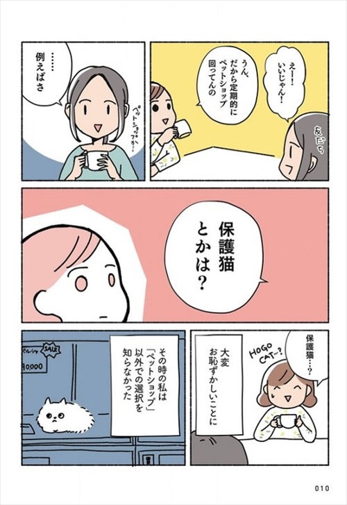 ねこ活はじめました