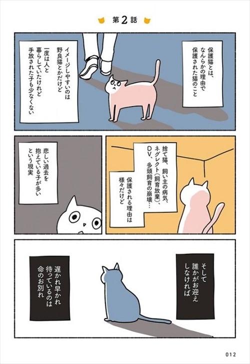 ねこ活はじめました