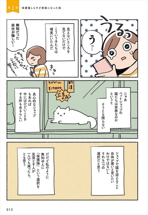 ねこ活はじめました