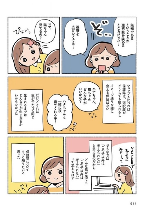 ねこ活はじめました