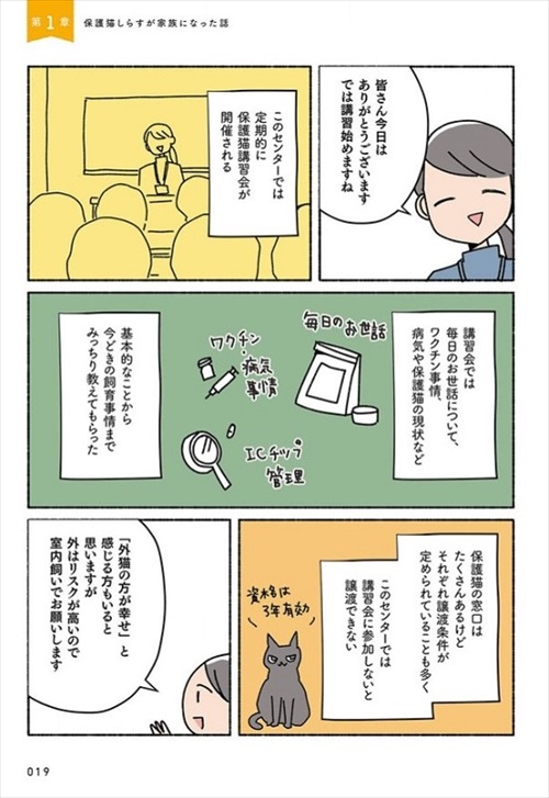 ねこ活はじめました
