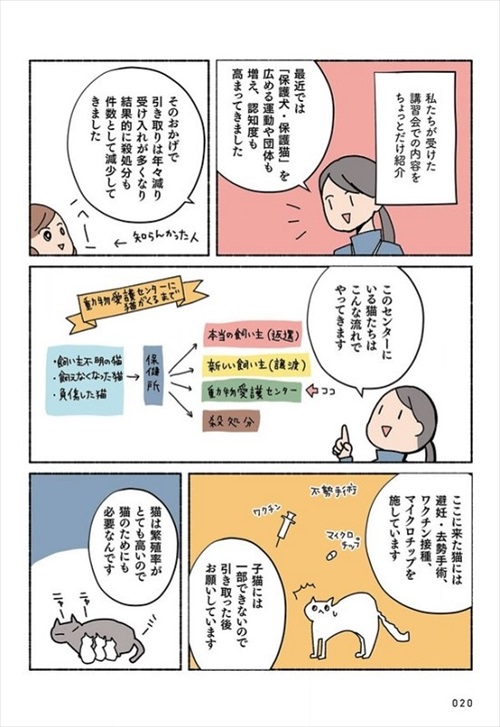 ねこ活はじめました