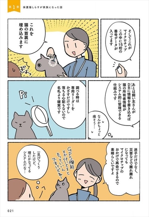 ねこ活はじめました