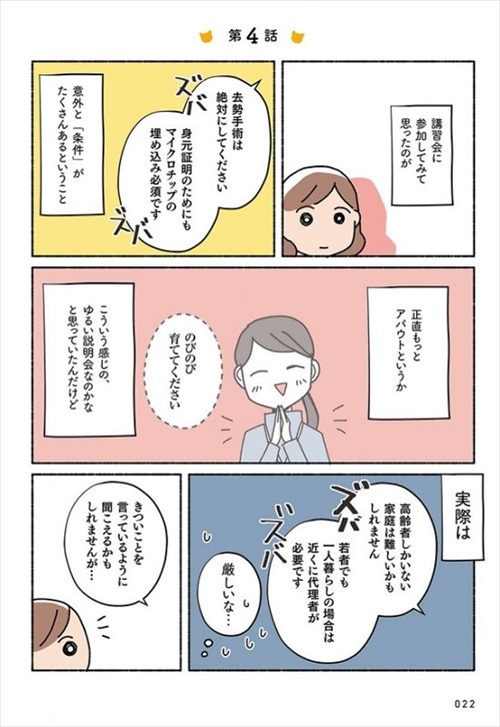 ねこ活はじめました