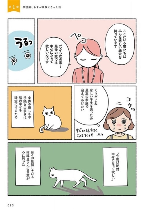 ねこ活はじめました