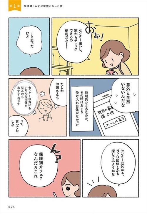 ねこ活はじめました